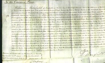 Court of Common Pleas - Eliza Pearce-Original Ancestry
