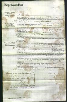 Court of Common Pleas - Frances Merriman-Original Ancestry