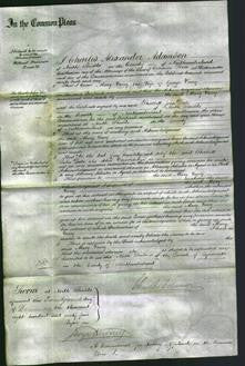 Court of Common Pleas - Mary Jasey-Original Ancestry