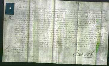 Court of Common Pleas - Eliza Morley-Original Ancestry