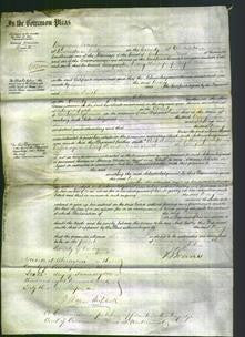 Court of Common Pleas - Mary Rees-Original Ancestry