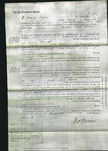 Court of Common Pleas - Sarah Harrod-Original Ancestry