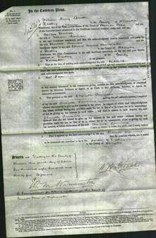 Court of Common Pleas - Charlotte Timmins-Original Ancestry