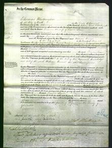 Court of Common Pleas - Frances Shaw-Original Ancestry