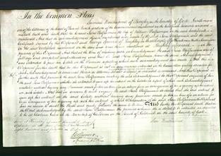 Court of Common Pleas - Jane Palfreeman-Original Ancestry