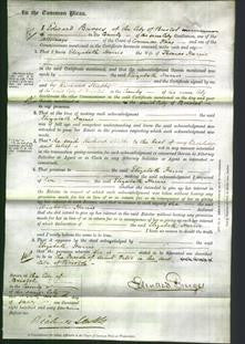 Court of Common Pleas - Elizabeth Harris-Original Ancestry