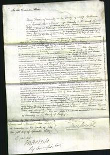 Court of Common Pleas - Elizabeth Evans and Margaret Jones-Original Ancestry