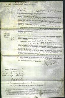 Court of Common Pleas - Sarah Elizabeth Ann Hellyer-Original Ancestry