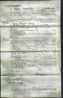 Court of Common Pleas - Sarah Ann Willey-Original Ancestry