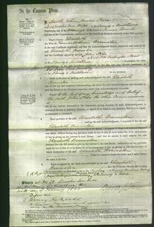 Court of Common Pleas - Elizabeth Bramston-Original Ancestry