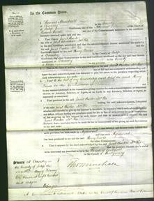 Court of Common Pleas - Janet Burton McKie-Original Ancestry