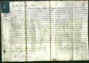 Court of Common Pleas - Elizabeth Rees-Original Ancestry
