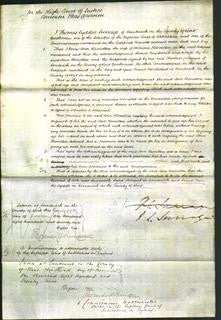 Court of Common Pleas- Ann Hamilton-Original Ancestry