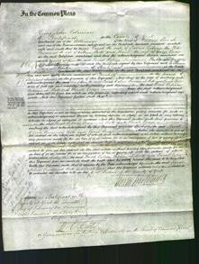 Court of Common Pleas - Sarah Robson, Susannah Scott and Sarah Lodge-Original Ancestry