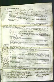 Court of Common Pleas - Sarah Turner-Original Ancestry