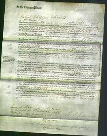 Court of Common Pleas - Elizabeth Burnett, Susan Burnett, Caroline Burnett, Elizabeth Burnett and Frances Gibbett