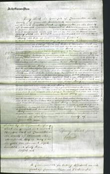 Court of Common Pleas - Mary Gillbard-Original Ancestry