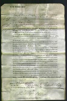 Court of Common Pleas - Maria Ellis-Original Ancestry