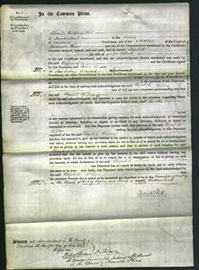 Court of Common Pleas - Elizabeth Wilson-Original Ancestry