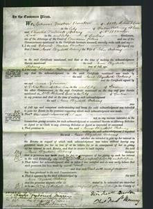Court of Common Pleas - Anne Elizabeth Oatway-Original Ancestry
