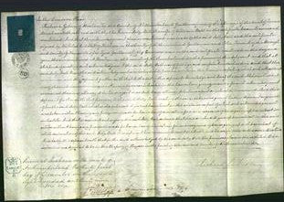 Court of Common Pleas - Sally Bell-Original Ancestry