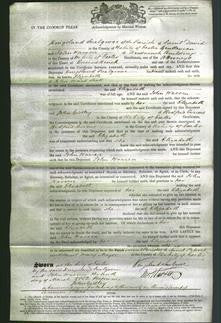 Court of Common Pleas - Elizabeth Scott-Original Ancestry