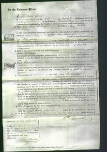 Court of Common Pleas - Ann Rutherford-Original Ancestry