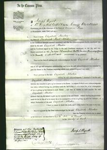 Court of Common Pleas - Elizabeth Alliston-Original Ancestry