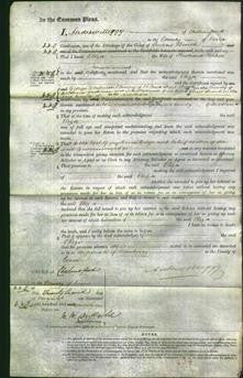 Court of Common Pleas - Eliza Parker-Original Ancestry