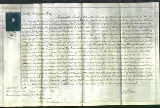 Court of Common Pleas - Sarah Williams-Original Ancestry