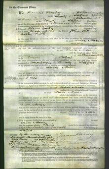 Court of Common Pleas - Louisa Maria Smith-Original Ancestry