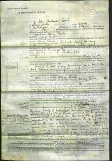 Court of Common Pleas - Mary Clarke-Original Ancestry