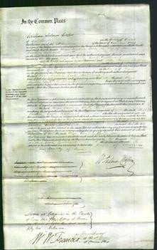 Court of Common Pleas - Eliza Caroline Cook Bullivant-Original Ancestry