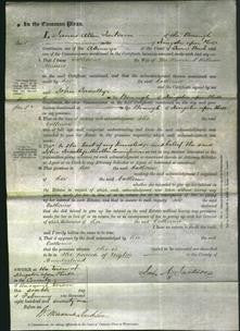 Court of Common Pleas - Catherine Barnes-Original Ancestry