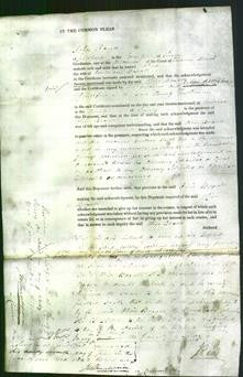 Court of Common Pleas - Olive Boxall-Original Ancestry