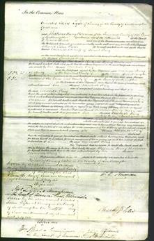 Court of Common Pleas - Elizabeth King-Original Ancestry