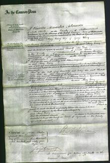 Court of Common Pleas - Mary Jasey-Original Ancestry