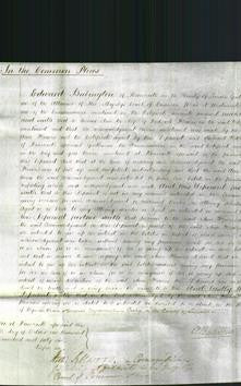 Court of Common Pleas - Ann Flowers-Original Ancestry