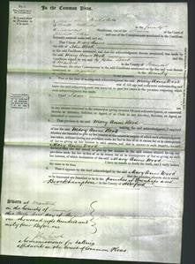Court of Common Pleas - Mary Anne Wood-Original Ancestry