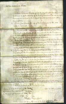 Court of Common Pleas - Jane Leahman-Original Ancestry