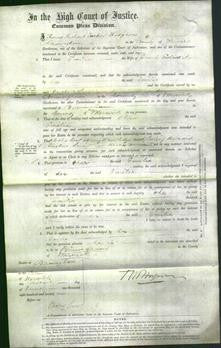 Court of Common Pleas - Emilia Edwards-Original Ancestry