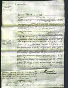 Court of Common Pleas - Louisa Wooldridge-Original Ancestry