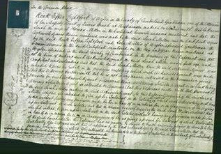 Court of Common Pleas - Sarah Miller-Original Ancestry