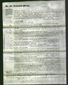 Court of Common Pleas - Isabella Stock-Original Ancestry