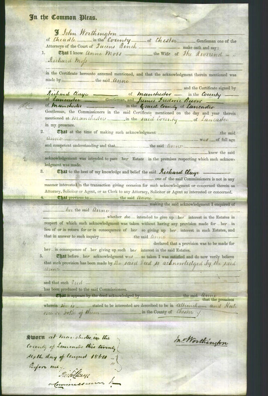 Court of Common Pleas - Anne Moss