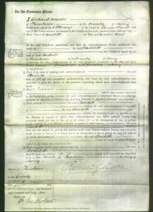 Court of Common Pleas - Charlotte Hart-Original Ancestry