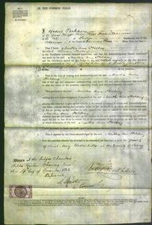 Court of Common Pleas - Martha Ann Holding-Original Ancestry