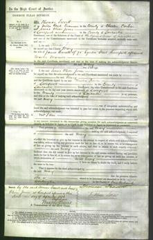 Court of Common Pleas - Mary Russell-Original Ancestry