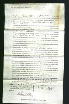 Court of Common Pleas - Catherine Toke-Original Ancestry