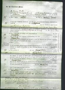 Court of Common Pleas - Ann Alcock-Original Ancestry